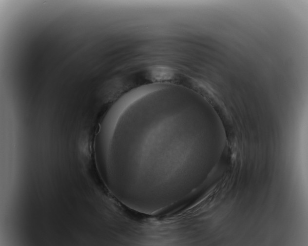 X0000088390763200705291408