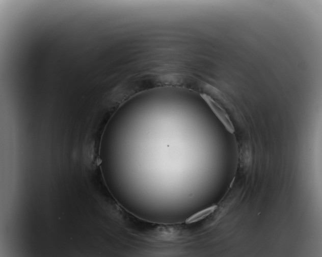 X0000088390764200705291408