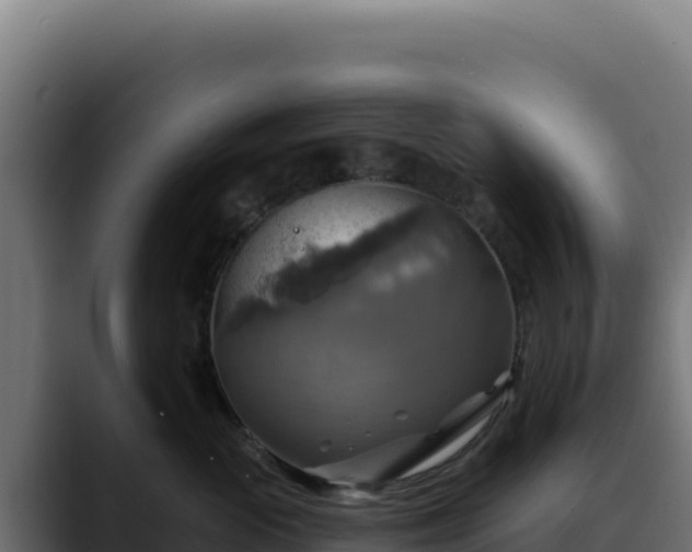 X0000088390765200705291408