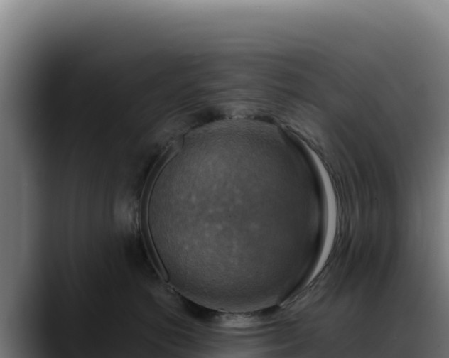 X0000088390766200705291408