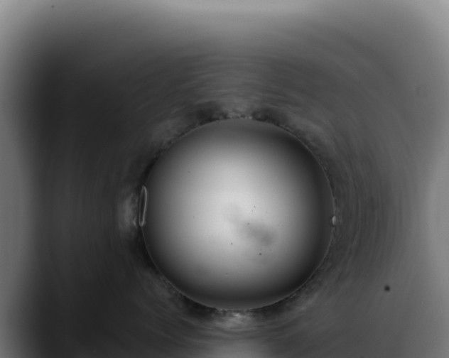 X0000088390768200705291408