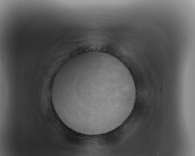 X0000088390769200705291407