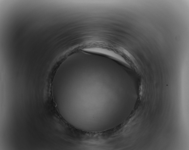 X0000088390775200705291407