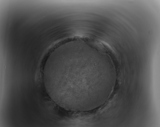 X0000088390776200705291407