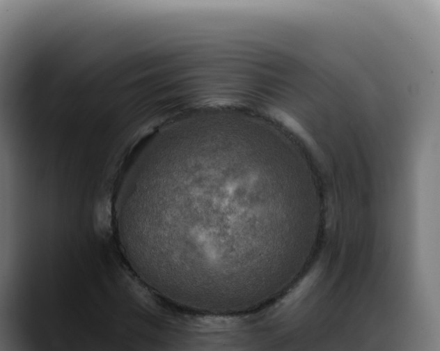 X0000088390777200705291407