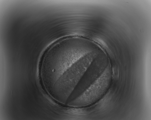 X0000088390780200705291407