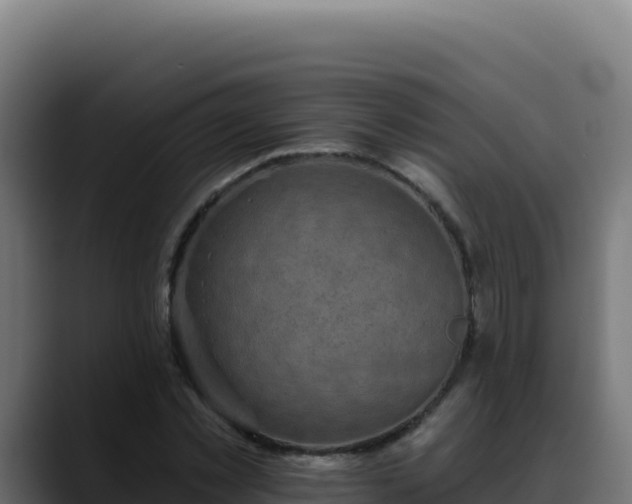 X0000088390781200705291407