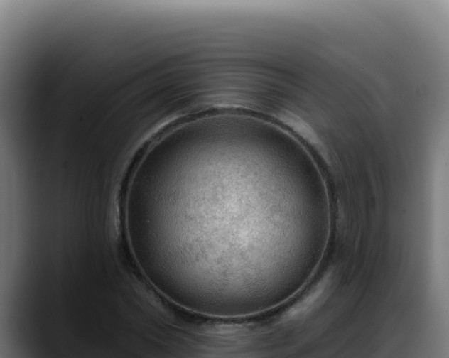 X0000088390782200705291407