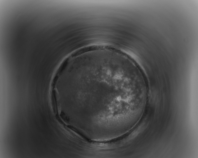 X0000088390783200705291407