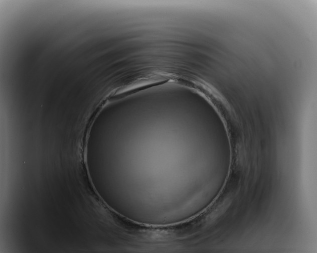 X0000088390785200705291407