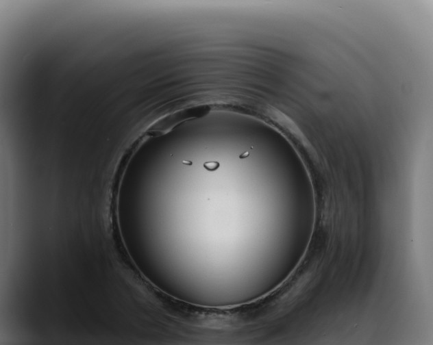 X0000088390786200705291407