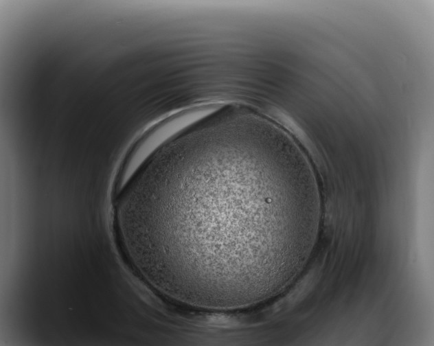 X0000088390787200705291407