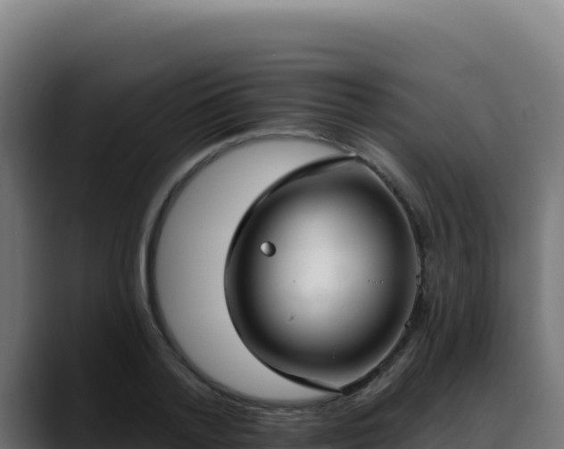 X0000088390788200705291407