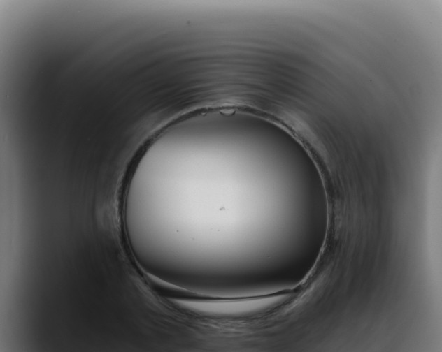 X0000088390789200705291407