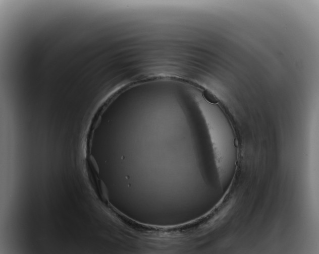 X0000088390790200705291407