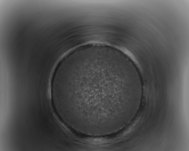 X0000088390791200705291407