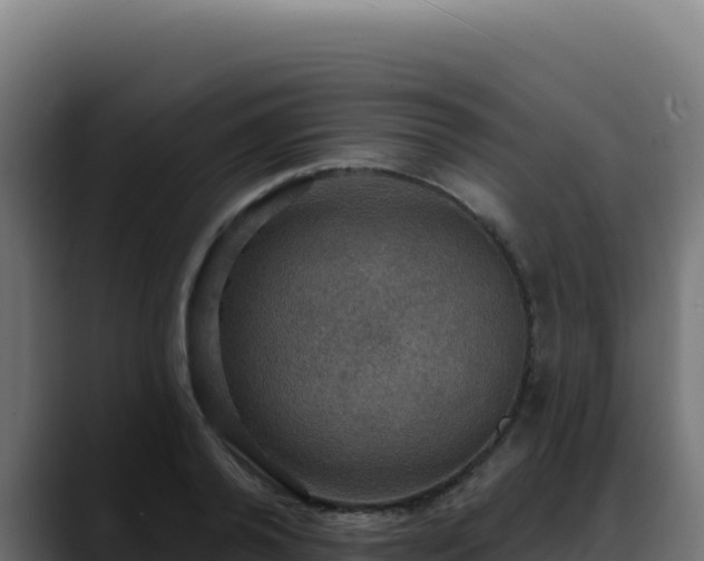 X0000088390792200705291407