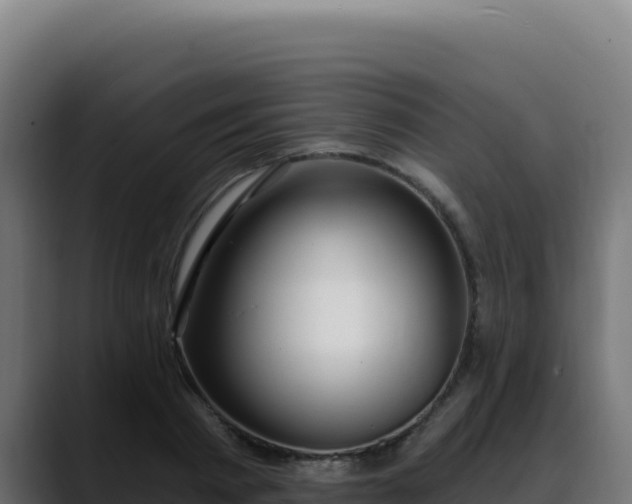 X0000088390793200705291407