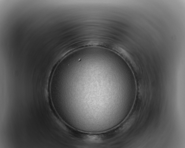 X0000088390794200705291407