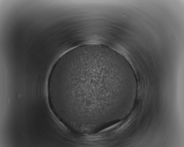 X0000088390795200705291407