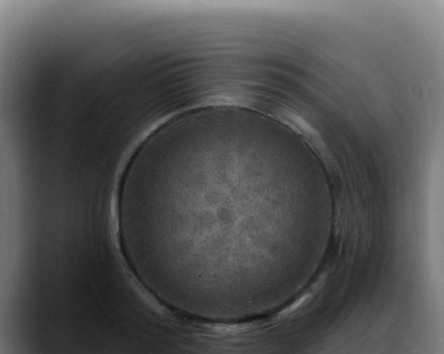 X0000088390796200705291407