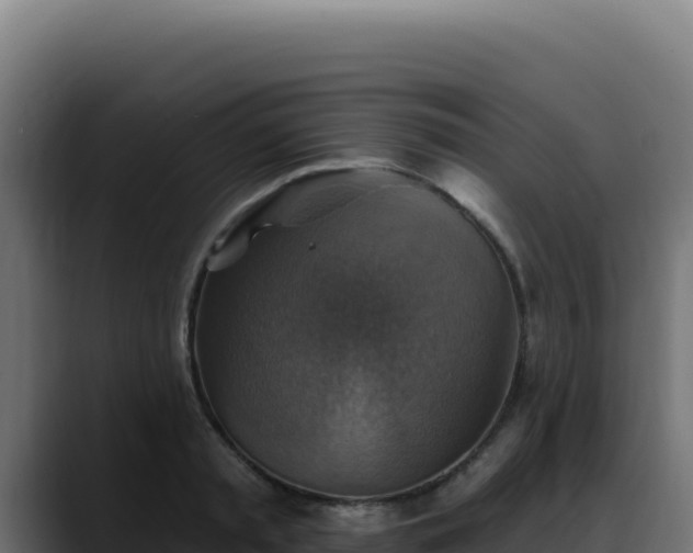 X0000088390797200705291407