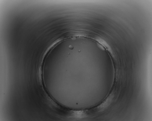 X0000088390798200705291407