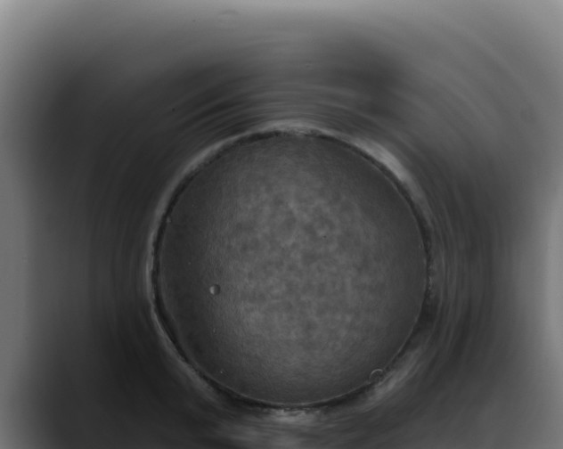 X0000088390799200705291407