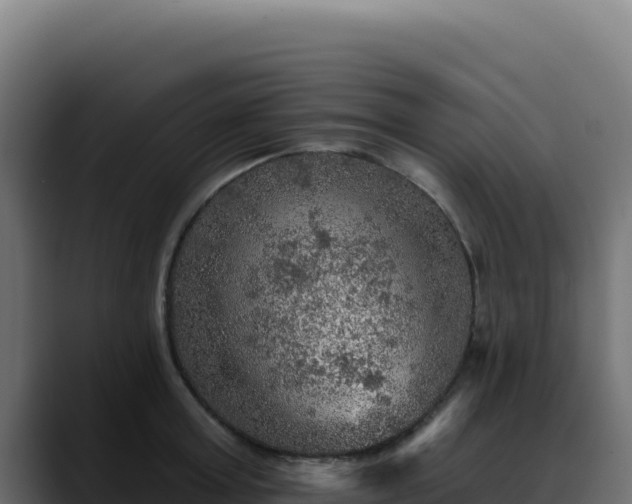 X0000088390803200705291407