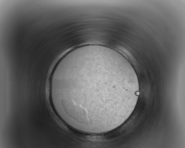 X0000088390804200705291407