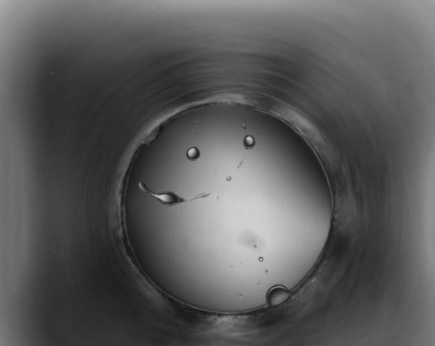 X0000088390808200705291407