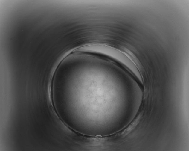 X0000088390812200705291407