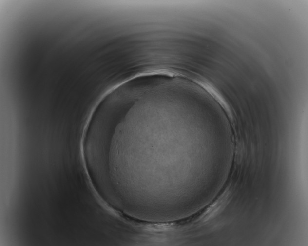 X0000088390813200705291407