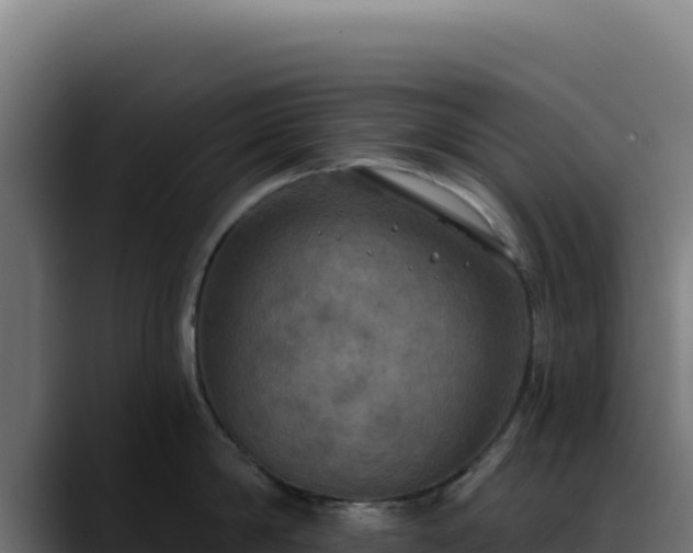 X0000088390814200705291407