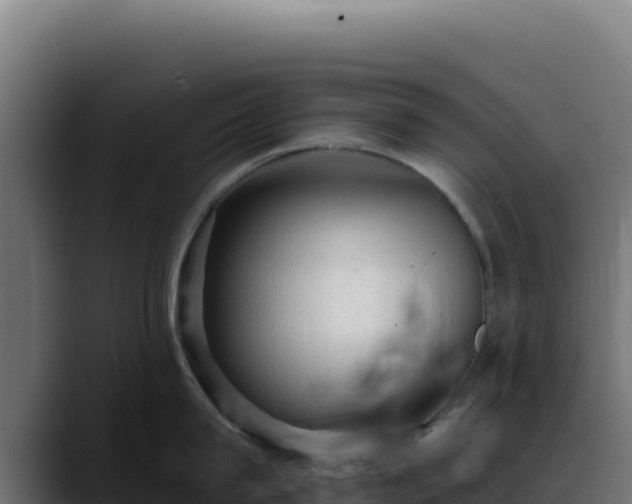 X0000088390815200705291407