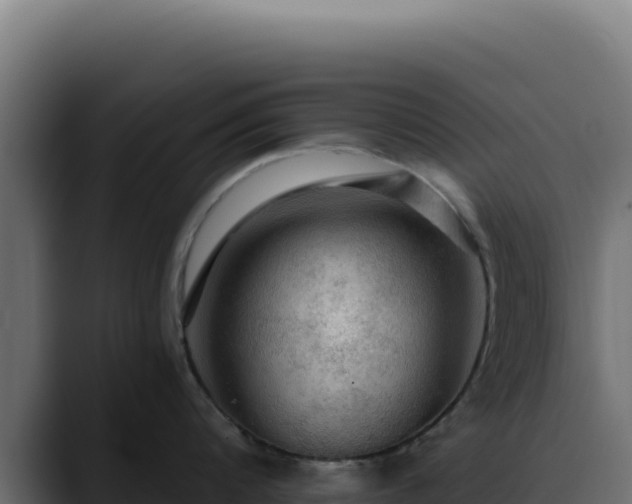 X0000088390816200705291407