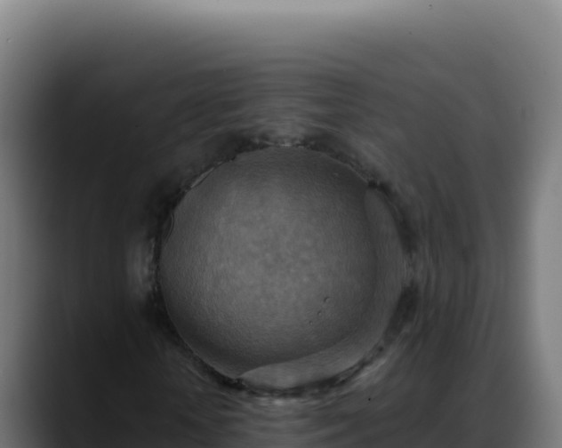 X0000088390818200705291406