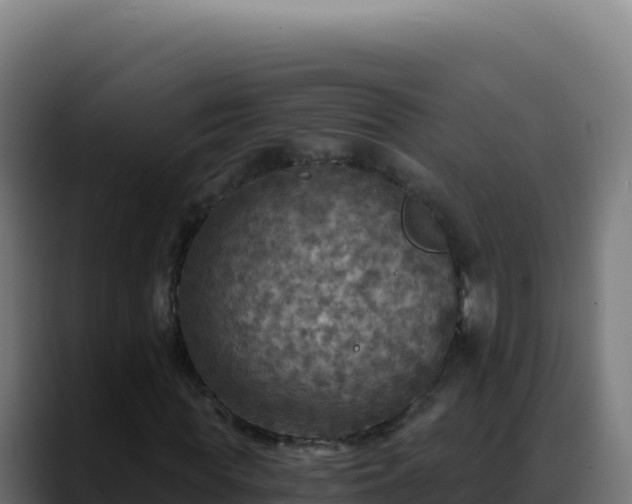 X0000088390819200705291406