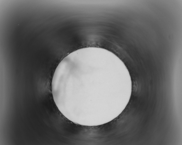 X0000088390820200705291406