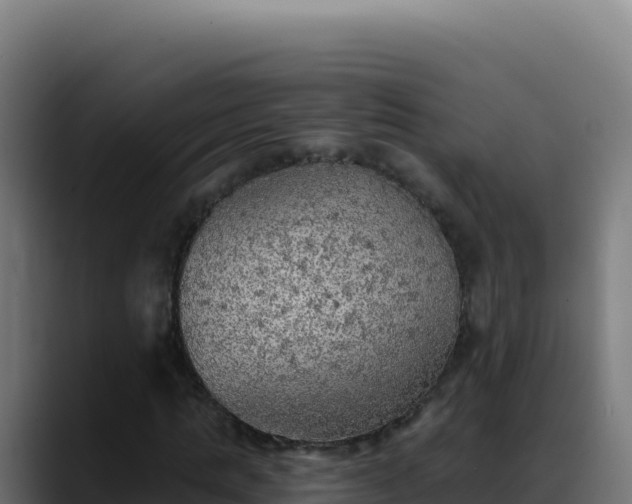 X0000088390821200705291406