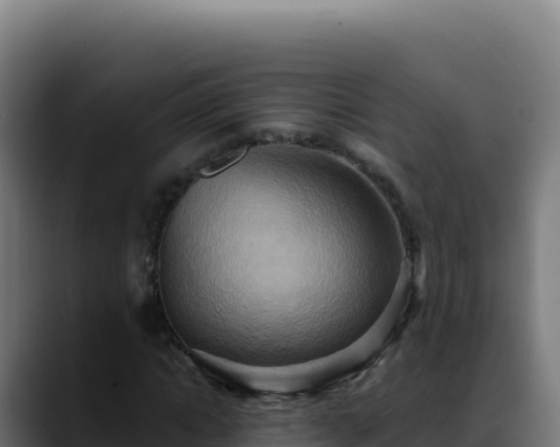 X0000088390822200705291406