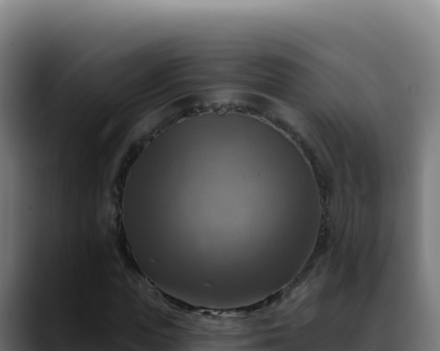 X0000088390823200705291406