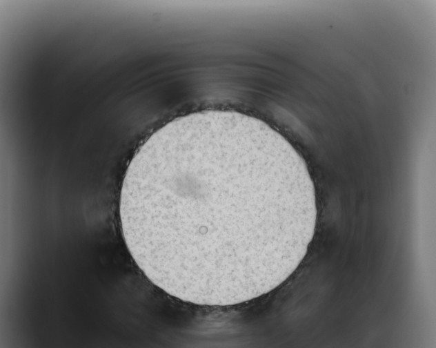 X0000088390824200705291406