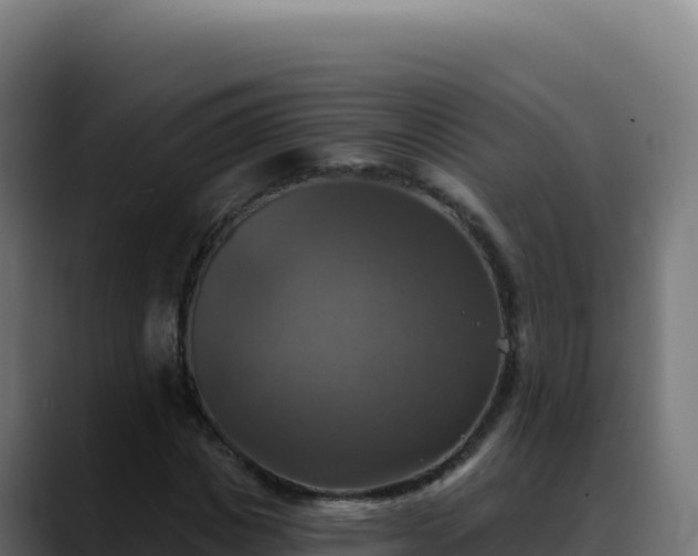 X0000088390825200705291406