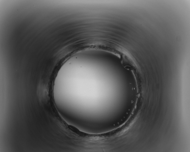 X0000088390826200705291406