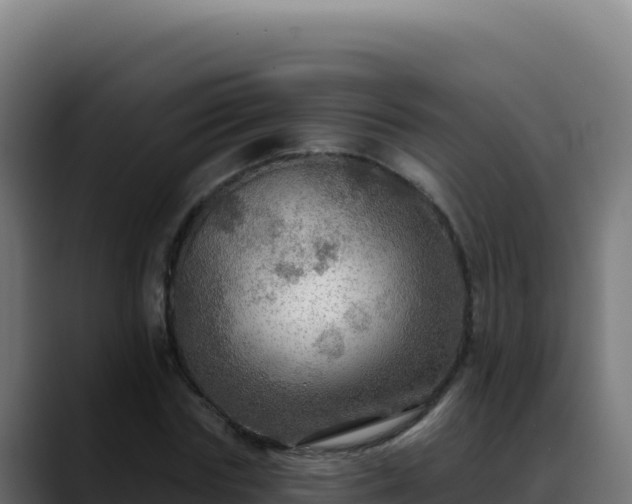 X0000088390827200705291406