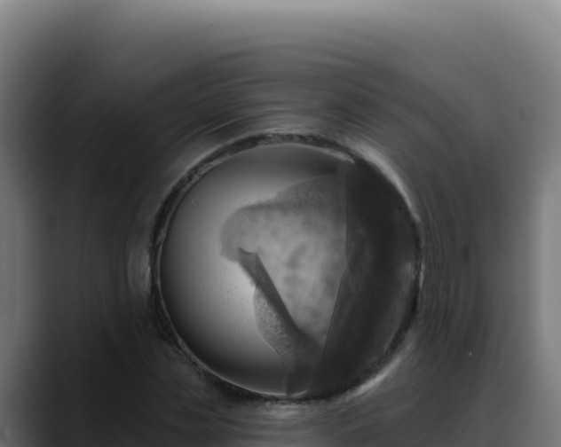 X0000088390829200705291406