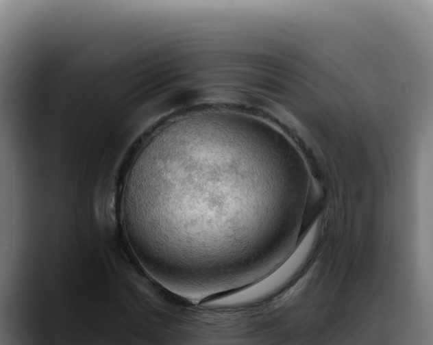 X0000088390830200705291406