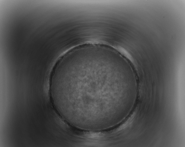 X0000088390831200705291406