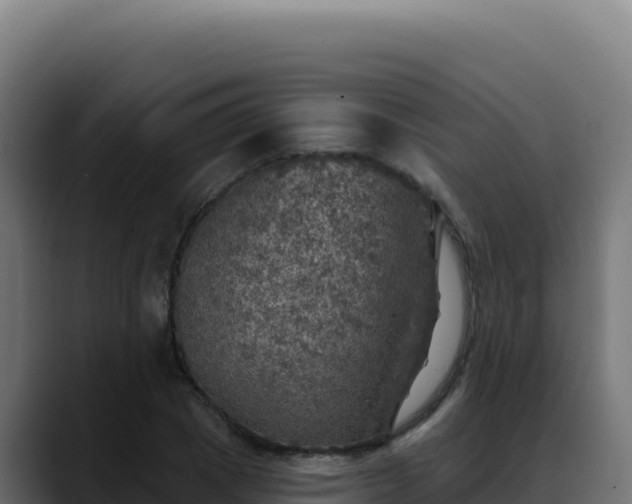 X0000088390833200705291406